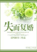失而复得全文阅读
