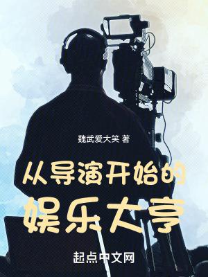 娱乐从导演