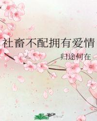 社畜不配拥有爱情百度txt