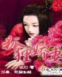 狐狸宠妻