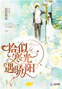 恰似寒光遇骄阳短剧全集