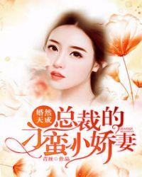 婚浅情深总裁的天价前妻