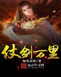 仗剑万里光环外观