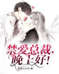 禁爱总裁晚上好TXT