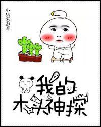 我的木头神探txt