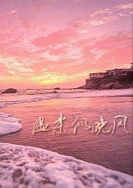 温柔似野风全文免费阅读晋江