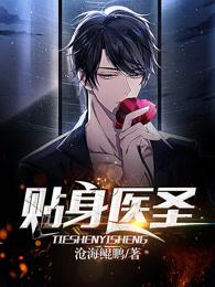 贴身医圣 无冬的夜