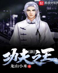 功夫之王1