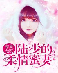 宠妻无度陆少超甜的