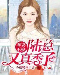 非妻不可总裁宠上瘾夏浅