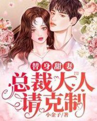 总裁大人的替身前妻电视剧