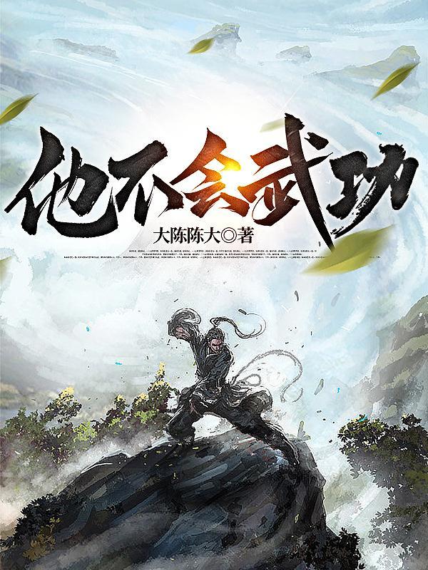 他不会武功漫画