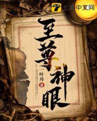 至尊神眼七八道