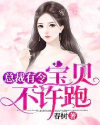 总裁有令宝贝不许跑简介