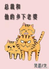 总裁和他的乡下老婆讲的是什么