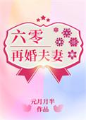 六零再婚夫妻甜儿结局