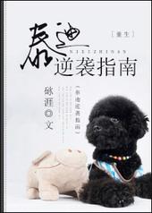 泰迪的逆袭指南第三期b站