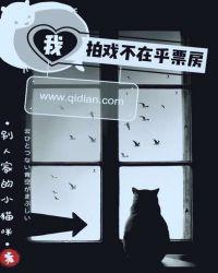 我拍戏不在乎票房类似