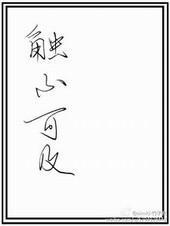 触不可及真实事件原型