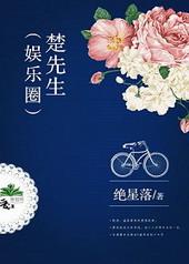 楚先生娱乐圈TXT百度