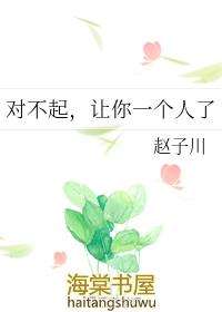 对不起一个人的歌曲