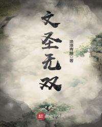 文圣无双境界