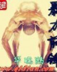足球暴力前锋