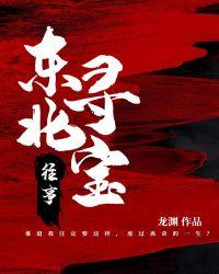 东北寻宝往事全文免费阅读