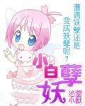 小白小妖作品