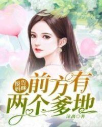 两个爹地一个妈