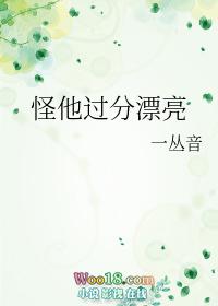 怪他过分漂亮by一丛音讲的什么