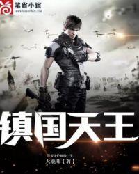 镇国天王短剧免费完整版