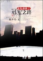重回巅峰之冠军之路