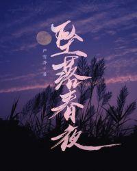 坠落春夜讲的是什么