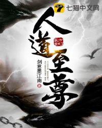 人道至尊风无忌