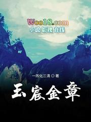 玉宸金章评价