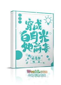 穿成白月光她前妻gl 百度