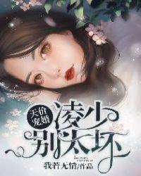 天价婚约凌少别太坏