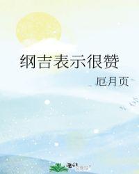 纲吉被替代