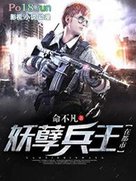 妖孽兵王在都市恶