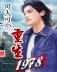 重生1978搞科研笔趣阁