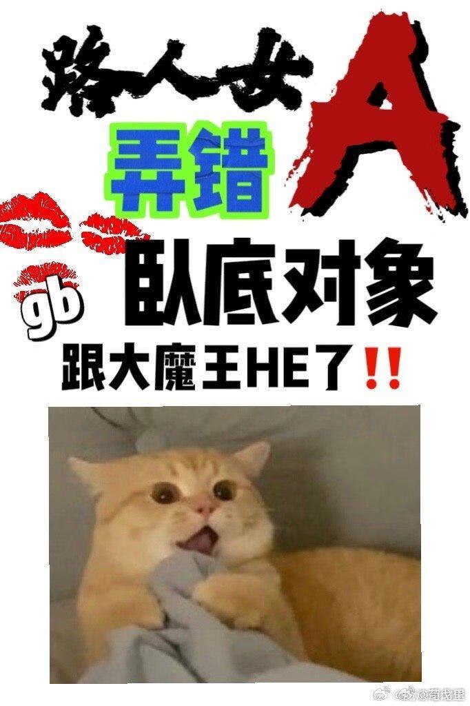 路人女a弄错卧底对象了在线