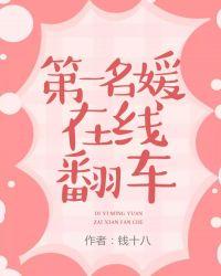 第一名媛主要讲什么