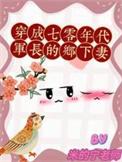 穿成七十年代当军嫂的