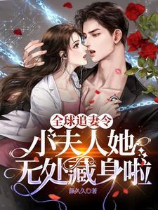 全球追妻令!小夫人她无处藏身啦免费阅读