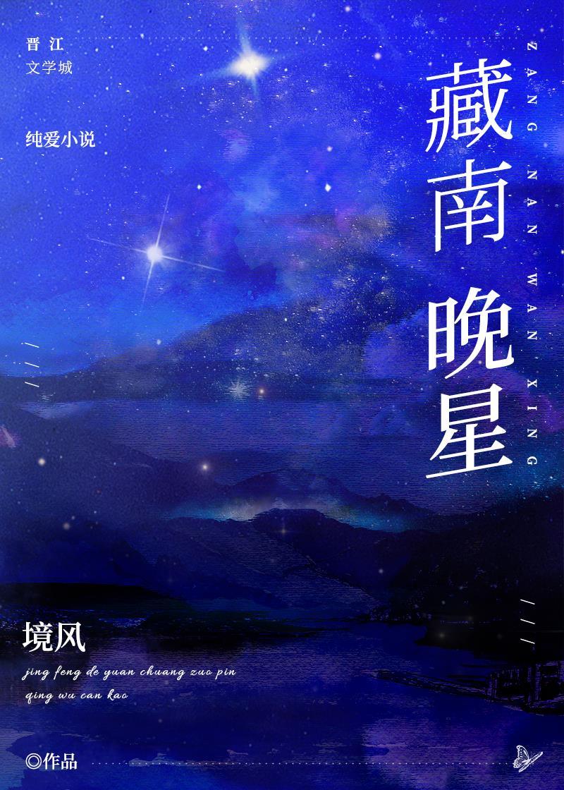 藏南晚星境风TXT