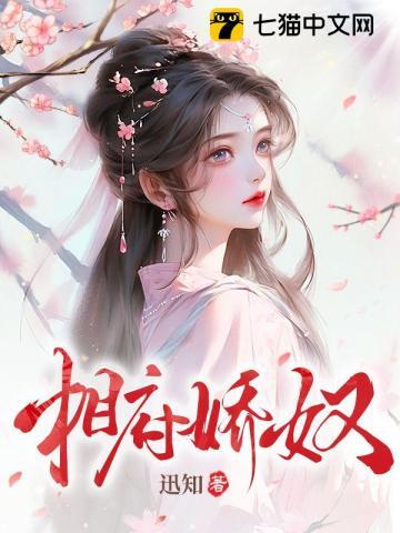 相府娇奴讲什么