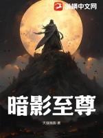 暗影至尊f2王牌战争开枪宏