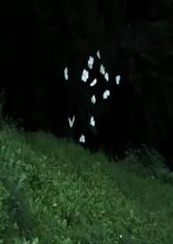 蔚然的全部
