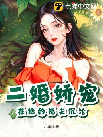 二婚娇有点甜全文目录